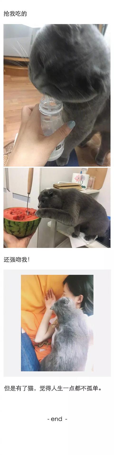 当你独自生活时,你能买些什么来提高你的幸福感和生活质量? 当你独自生活时,你能买些什么来提高你的幸福感和生活质量?