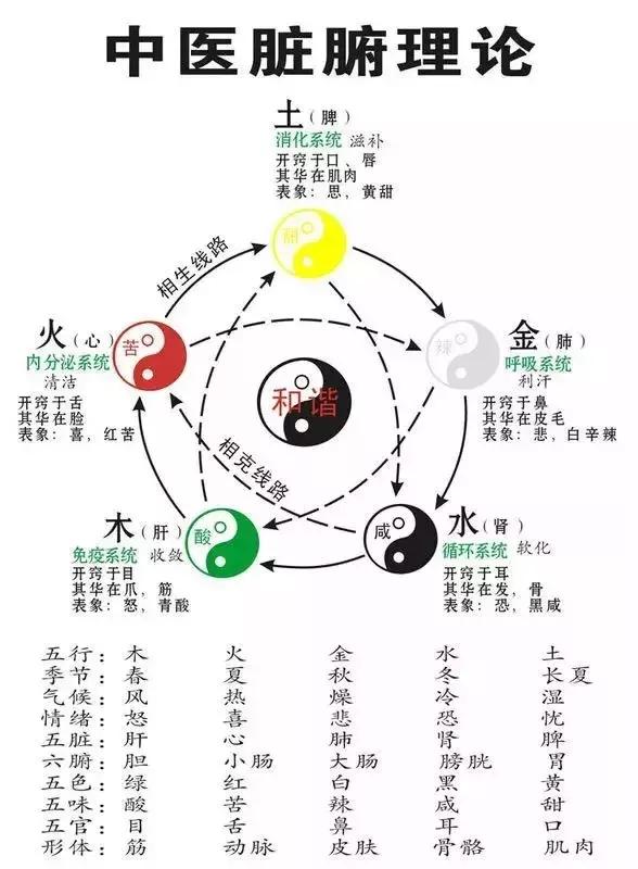 一个懂得中医五行的女人真的可以健康美丽 一个懂得中医五行的女人真的可以健康美丽