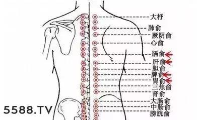 身体里的寒冷和湿气藏在哪里? 身体里的寒冷和湿气藏在哪里?
