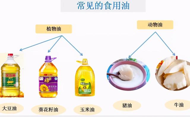 吃植物油比动物油更容易造成血管堵塞 想吃健康油应该怎么做 吃植物油比动物油更容易造成血管堵塞 想吃健康油应该怎么做