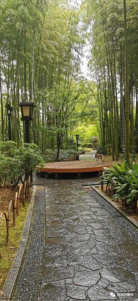 精致的日本 27 伊豆的舞女