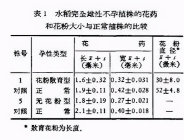 55年前袁隆平首篇4页的论文 却让几亿人吃