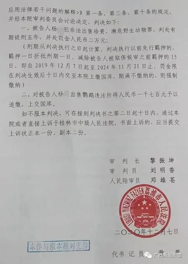 荔浦一男子市场购买鹦鹉自学技术繁殖 售卖4只获刑5