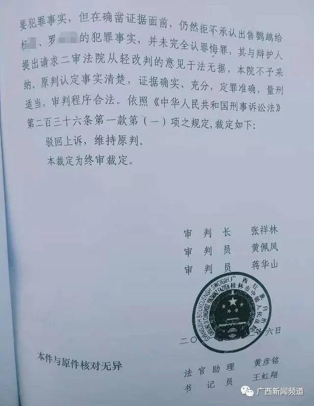 荔浦一男子市场购买鹦鹉自学技术繁殖 售卖4只获刑5