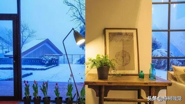 三月光阴 愿所有的美好都驭雪归来