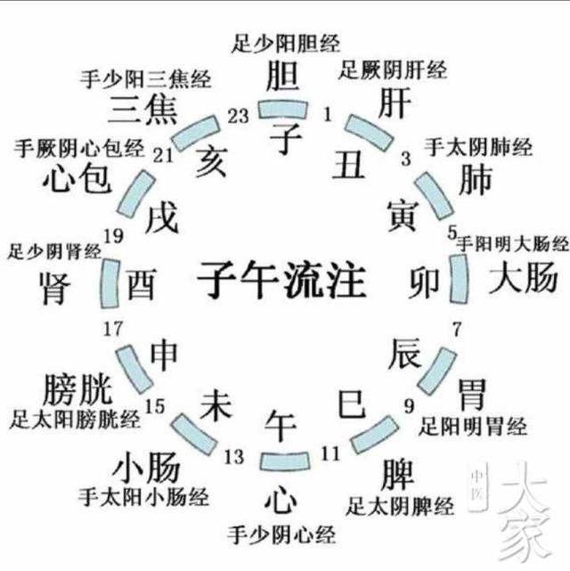 子午流注看健康 时间与五脏六腑的对应关系