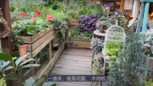 花46万买下乡间独栋小屋 只为养花种草