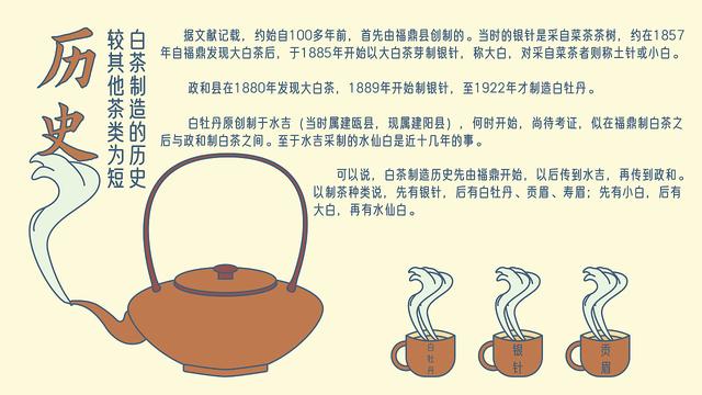 科普插画：永嘉县东三百里有白茶山u2014u2014白茶