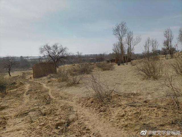 荒烟蔓草里 无以言说的思念