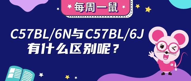 C57BL/6N与C57BL/6J有什么区别呢？